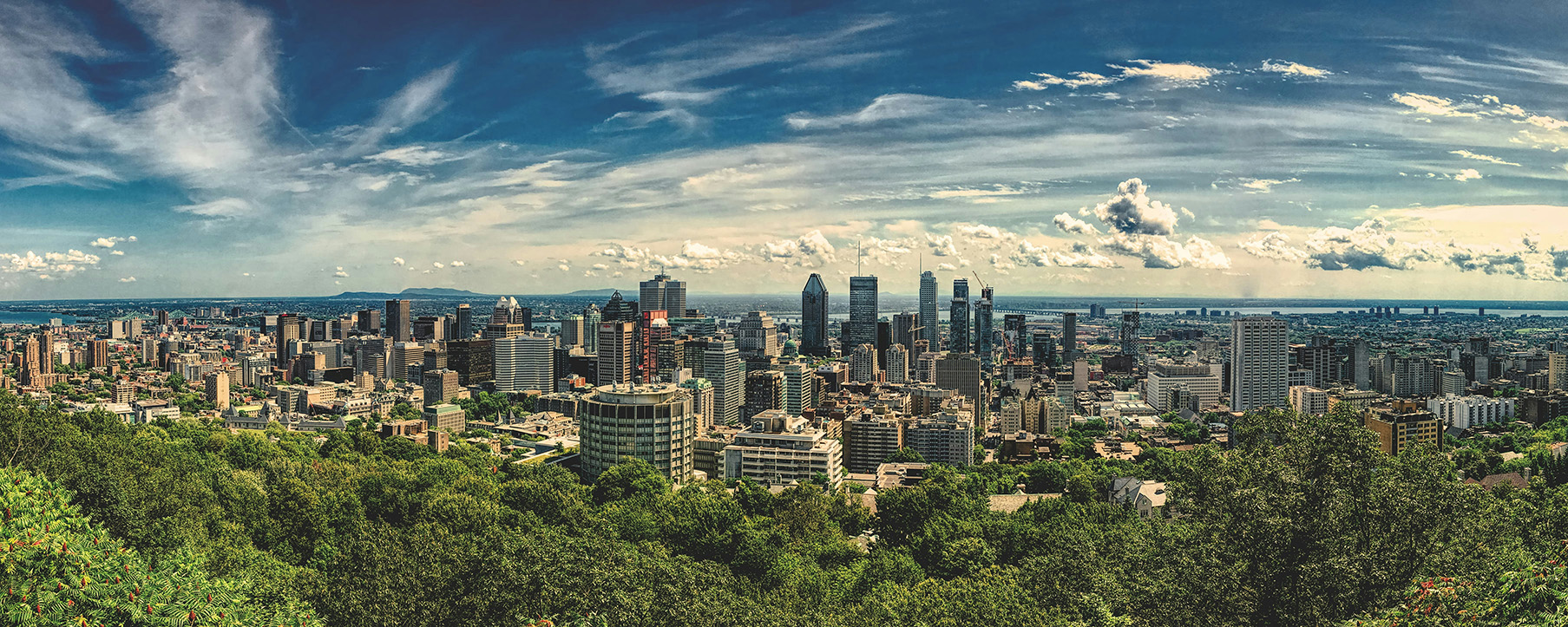 Panoramic view of Montreal’s skyline with trees in the foreground